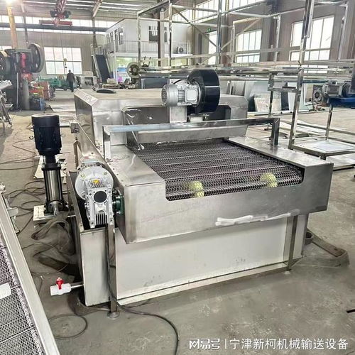 一机多能，洁净无死角 新柯网链清洗机如何革新食品、果蔬、汽配与五金清洗场景？